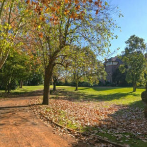Warrawee House Design